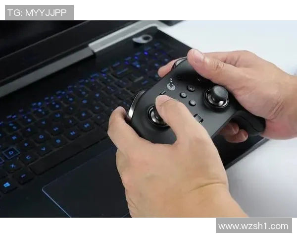 Viper输出拉满的秘密揭晓如何提升你的游戏体验与操作技巧