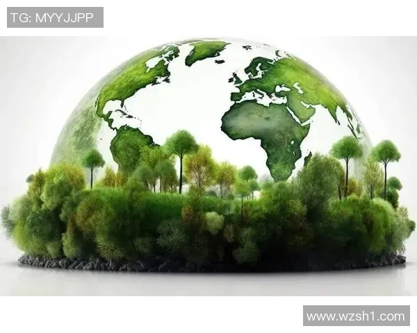 欧盟碳边境调节机制与全球碳市场共享逐步开启